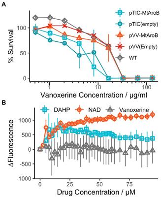 Vanoxerine kills mycobacteria through membrane depolarization and efflux inhibition